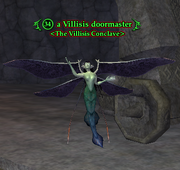 A Villisis doormaster