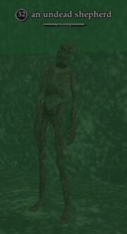An undead shepherd