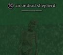 An undead shepherd