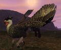 Race griffin.jpg