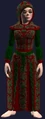 Robe of Festive Tidings (Equipped).jpg