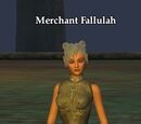 Merchant Fallulah