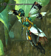 A Queensguard overseer