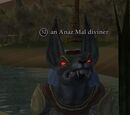 An Anaz Mal diviner