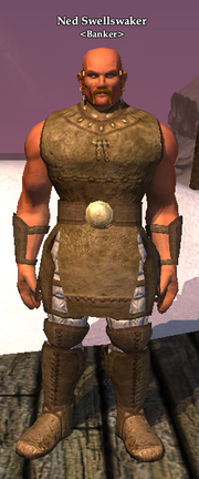 Ned Swellswaker