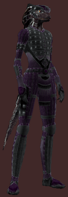 Stormbringer's Venerable (Armor Set) (Visible, Female)