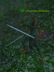 A brownie trickster