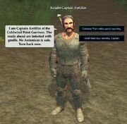 Knight-Captain Antillin