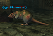 A bile soaked rat