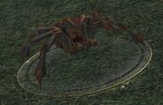 A huntsman spider