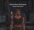 Stable Hand Pachomius