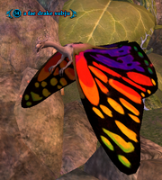 A fae drake subju