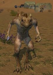 An Alliz Raef Ew scout