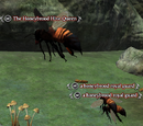 The Honeybrood Hive Queen