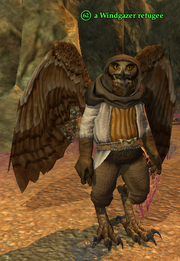 A Windgazer refugee