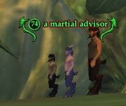 A martial advisor