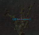Dark Brambleton