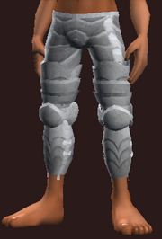 Knight's Polished Legplates (Equipped)