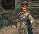 A council reservist