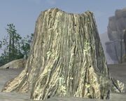 Butcherblock tree stump