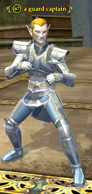 A guard captain