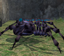 A large pale spitting spider
