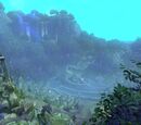 The Eidolon Jungle