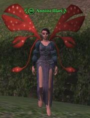 Anniisi Illari