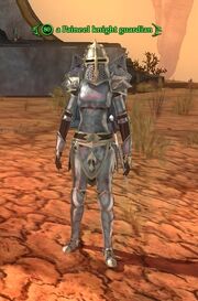 A Paineel knight guardian