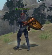 A Sathirian priest