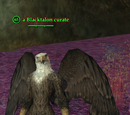 A Blacktalon curate
