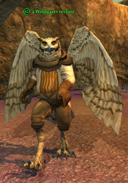 A Windgazer recluse