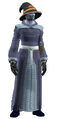 Flowing Robe of Radiant Hues (Visible).jpg
