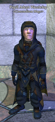 Pupil Adept Wazzlefop