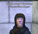 Pupil Adept Wazzlefop