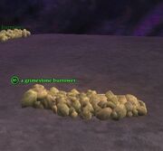 A grimestone burrower