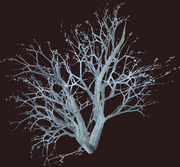 Dead Shrub (Placed)
