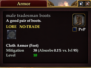 Male tradesman boots