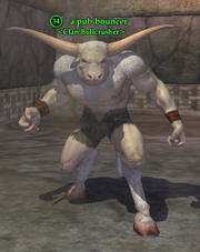 A pub bouncer