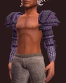 Archon's Pauldrons (Equipped).png