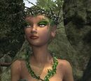 The Tangled Weed