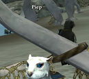 Piep