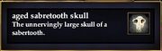Aged sabretooth skull