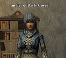 An Eye of Bayle Cover