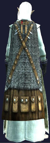 File:Cloak of the Master Weaponsmith.jpg