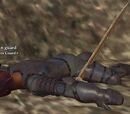 A slain guard