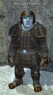 Preceptor Gabbro