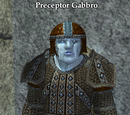 Preceptor Gabbro