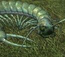 Mud strider
