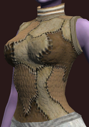 Untainted Naturalist's Tunic (Equipped)